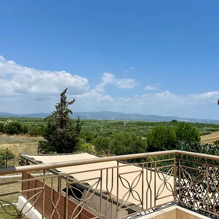 Olive Nest * نيا موذانيا